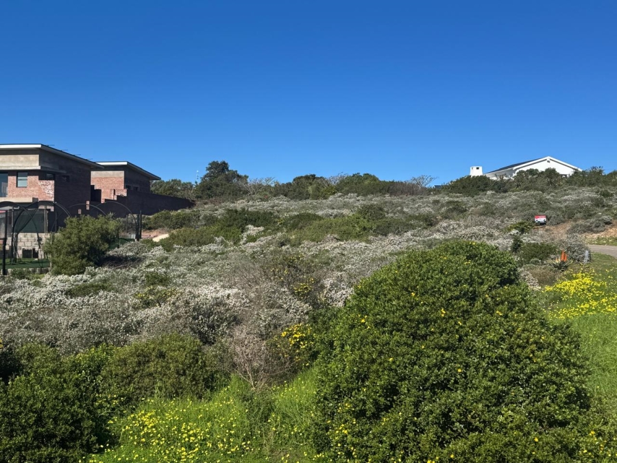 0 Bedroom Property for Sale in Vleesbaai Western Cape